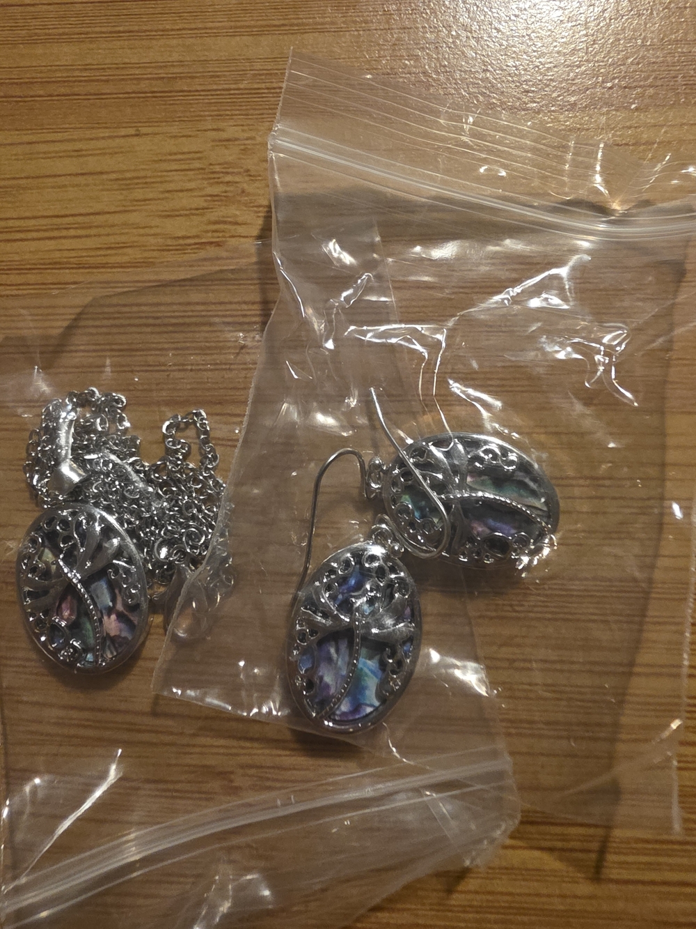 Dragonfly Silver Tone Earrings and Necklace Set - Iridescent Blue-Green